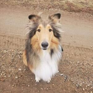 Meet your Posher, Rita